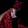 Portfolio Gallery Picture 2