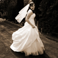 Wedding Gallery Picture 22
