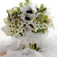 Wedding Gallery Picture 23